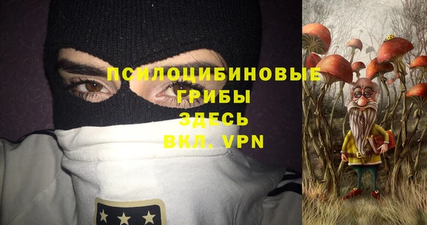 МДПВ Гусь-Хрустальный